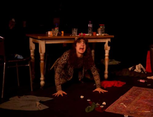 Petit Léopard. Drayton Arms Theatre.